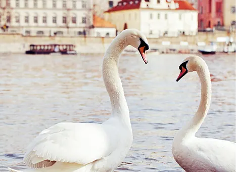 Vienna, Prague & Budapest